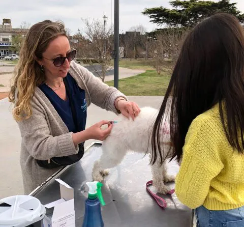 Bromatologia-Vacunacion-antirrabica-2