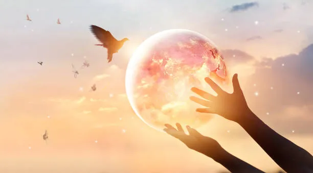 istockphoto-881359070-612x612