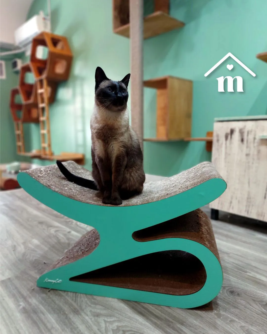 thumbnail (2) - copia