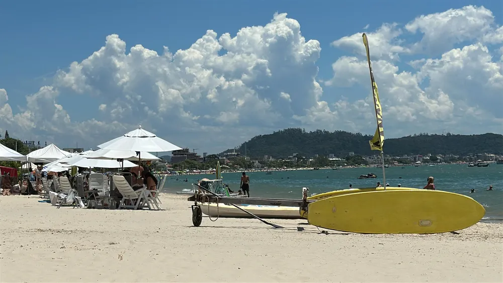 WhatsApp Image 2026-01-17 at 11.17.37 PM