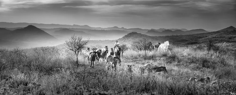 El Rebenque esta de Mas