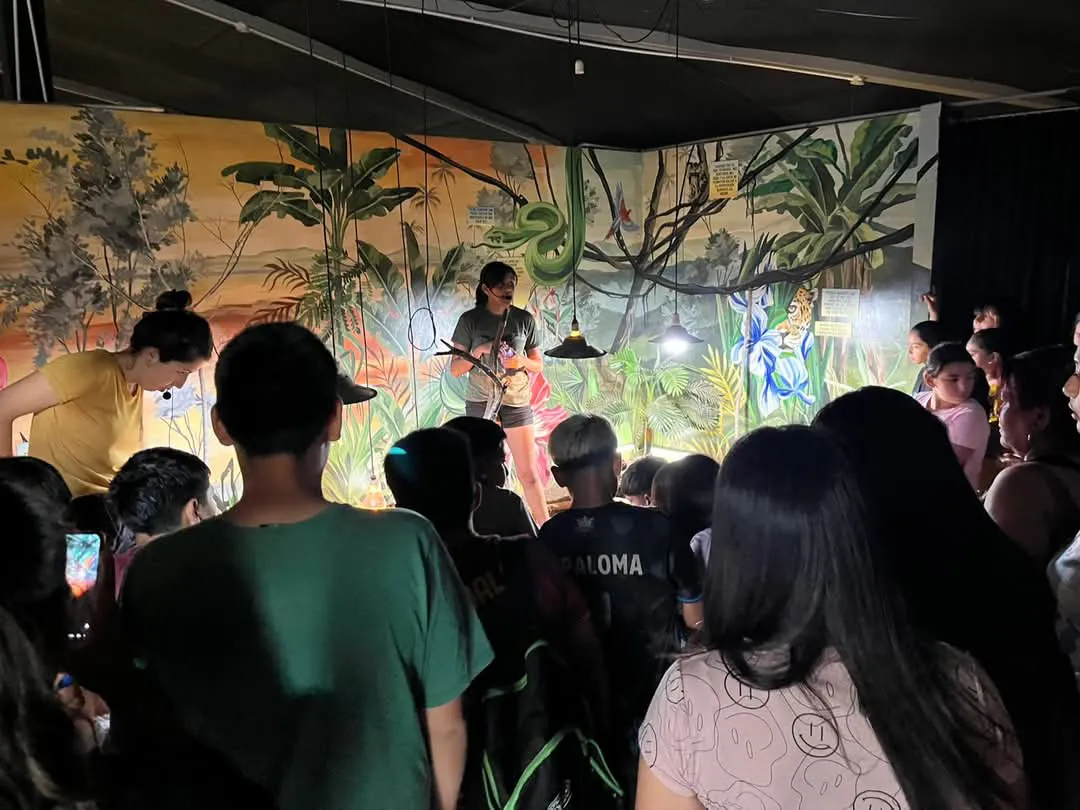 mail - 2024-12-17T155651.395