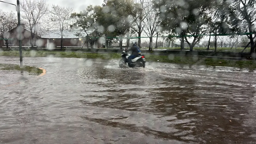 c7a9bb77-a594-445a-b1be-b81d78d19ad3