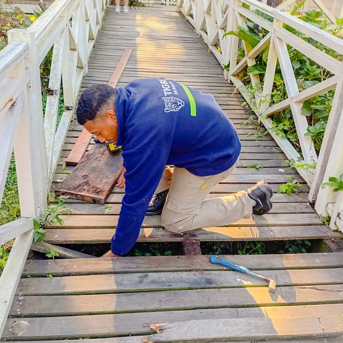 mail - 2025-05-24T092318.652