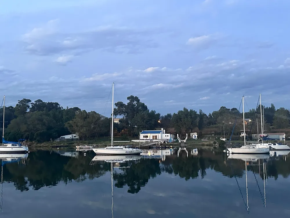 WhatsApp Image 2026-02-19 at 1.31.50 PM