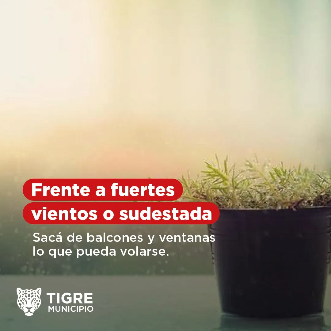 mail - 2024-11-08T093029.061