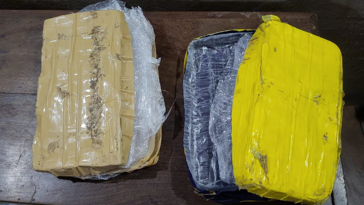 310b6dec-4dc6-4255-8dc6-276d898aa0ac