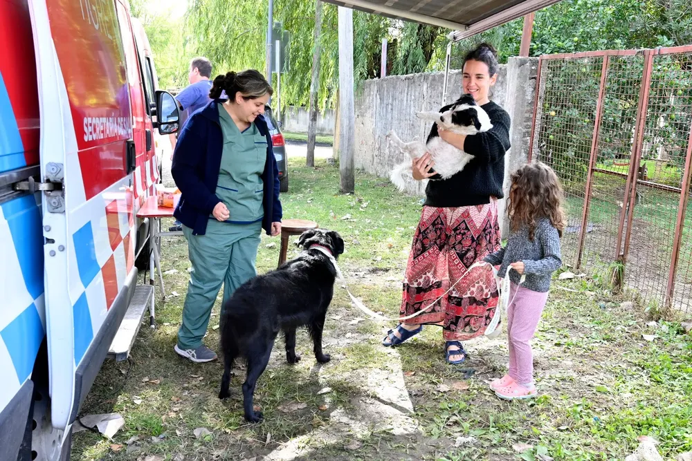 mail - 2025-04-16T213513.449