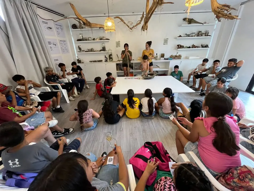 mail - 2024-12-17T155646.913