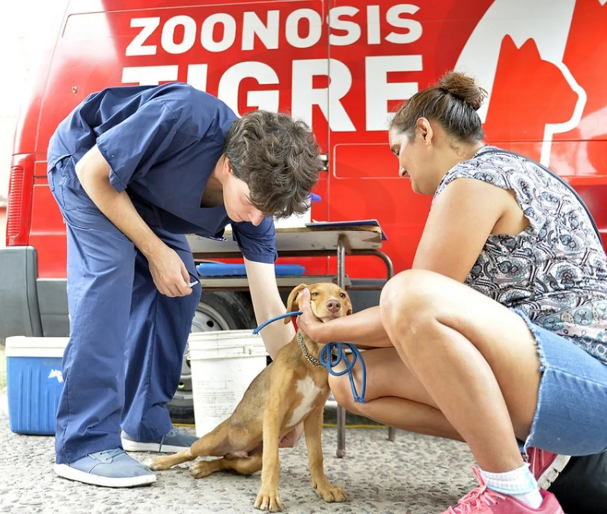 mail - 2024-09-12T103515.265