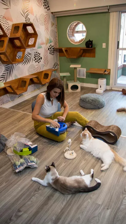 thumbnail (1) - copia