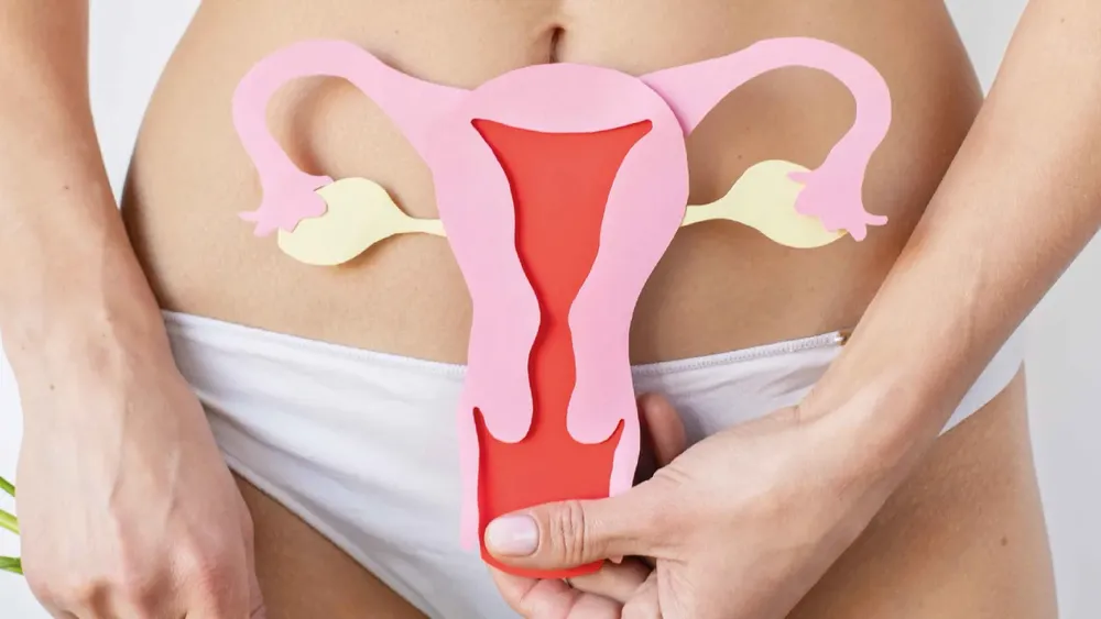 mail - 2025-03-17T100951.735